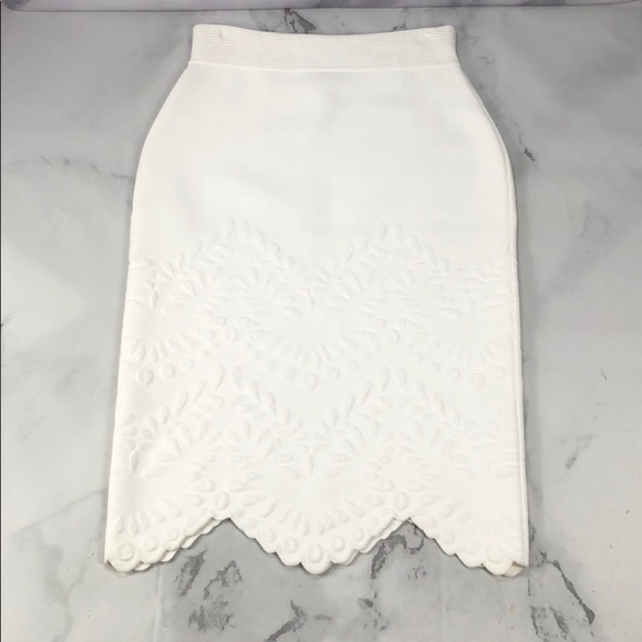 Alexander McQueen Dresses & Skirts - Alexander McQueen skirt